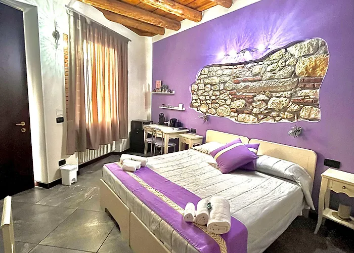 Cq 3* Verona